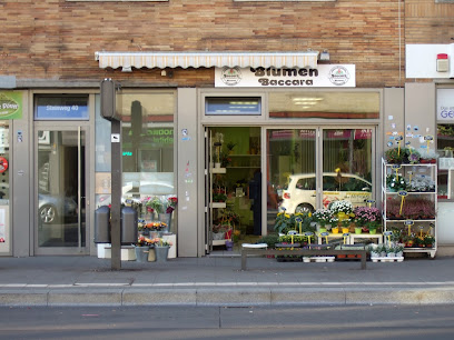 Blumen Baccara GmbH