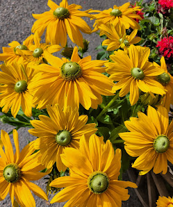 Blumenmädchen Floristik mit Herz
