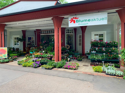 „Blume Aktuell“
