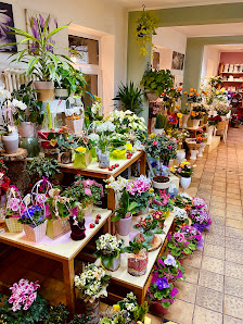 Blumenfreund Pause