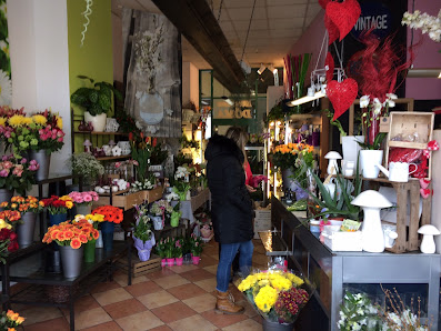 Blumen Döma Gisela Döschner