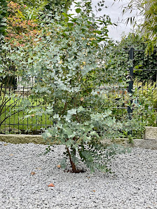 TopGarden Löwenstarke Gartenarbeiten