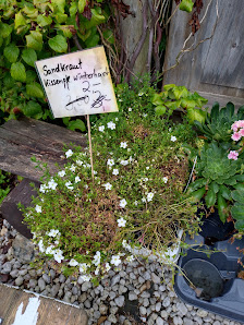 Floristikservice Zaubermohn Jacqueline Kramer
