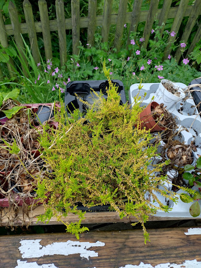 Blumengeschäft