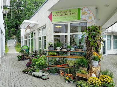 Die Apfelblüte