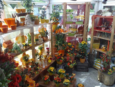Blumenladen Blütenzauber Blumen