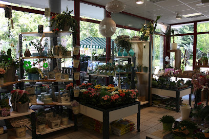 Floristikshop Richter - Blumen