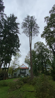 Baumpflege, Garten- und Landschaftsbau Ken Seifert