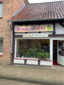 Feras flowers . Violetta