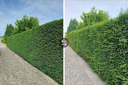 BS Gartenpflege