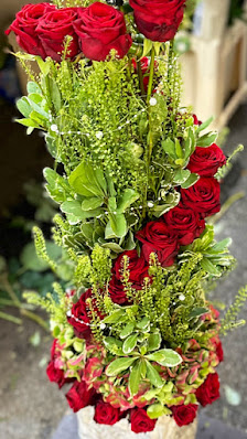 H & T Blumen & Pflanzen