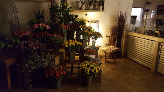 Nico's Blumenwelt