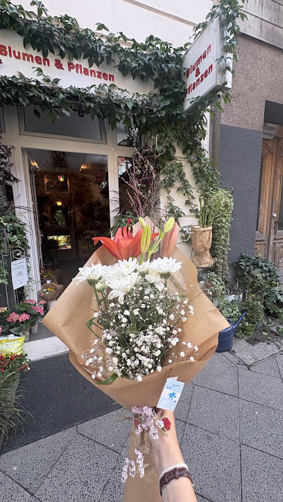 Blumeninnovation