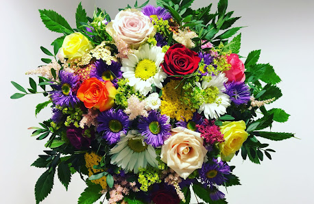 Carlotta Blumen ...und mehr