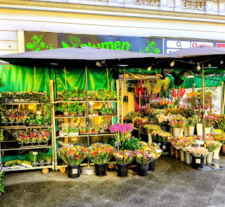 Blumen Görli