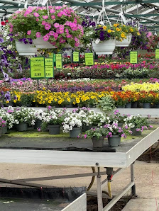 Blumen Wohlers, Klein Barkau