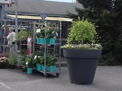 Pflanzen Peikert | Gartencenter - Gartengestaltung - Floristik - Blumen