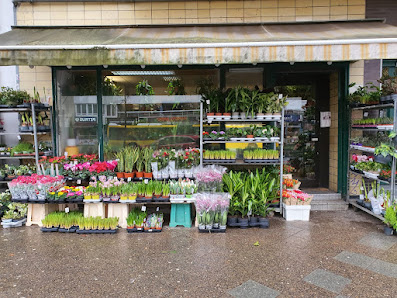 Blumen