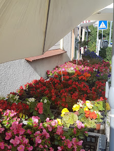 Blumen Rath