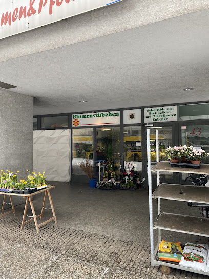 Blumen und Pflanzen