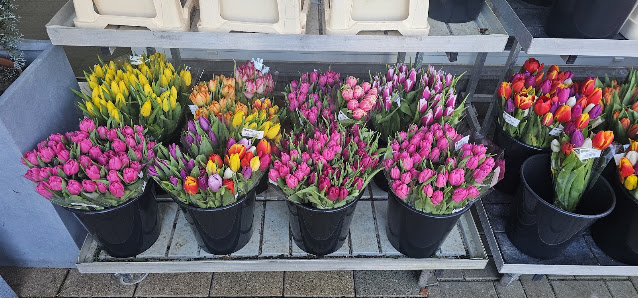 Blumen-Garten-Miller