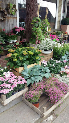 Blumen Wohlers Inh. Kathrin Schöning