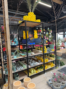 Tobias Stegelmann Blumen erleben Flower Store