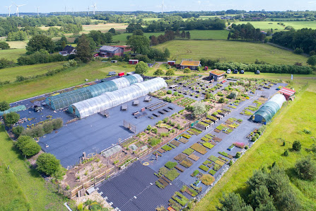 Blütenmeer GmbH Wildstauden Gärtnerei