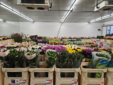 Blumen-Abholmarkt 16 GmbH