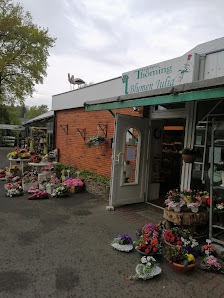 Gärtnerei Thöming & Blumen Julia