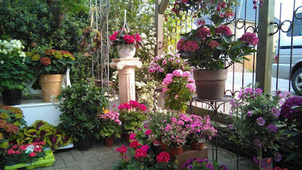 Blumen Schmidt Inh. Petra Clausen