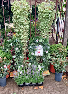 Blumen Schmidt Inh. Petra Clausen