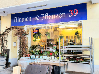 Blumen & Pflanzen 39