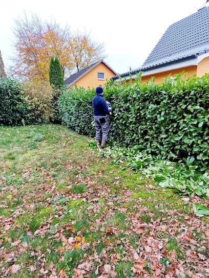 DM Gartenservice und Reinigungsfirma in Kiel