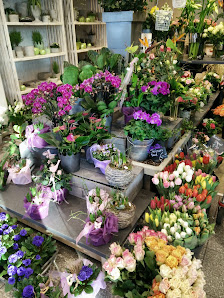 Blumen Colmorgen