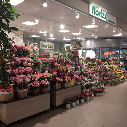 Blumen- florizz