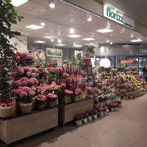Blumen- florizz