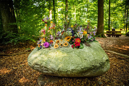 Wild und Wiesig Floristik