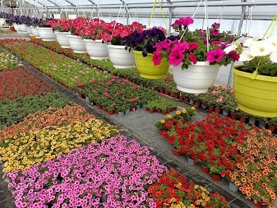 Blumenhaus Bechtold