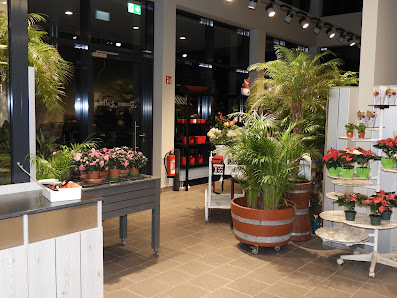 Blumen Kalinka