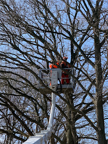 Baum & Garten John