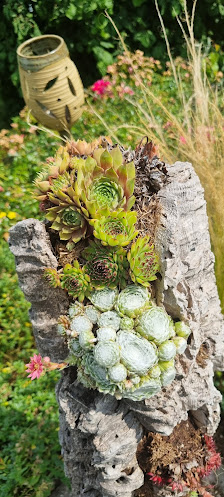 Blumen Weber