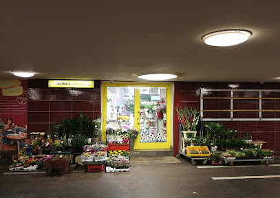 Blumen Pflanzen Urbanis (UG U-Bahnstation)