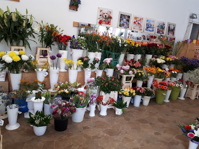 H. Blumen- und Pflanzengeschäft