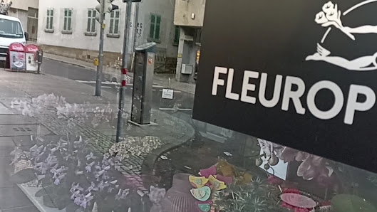 Blumen Ellinger