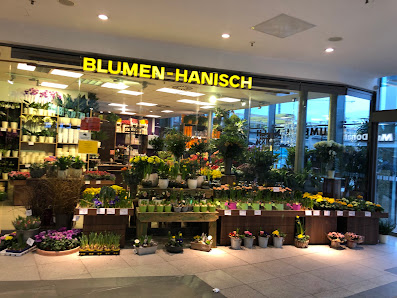 Blumen-Hanisch Halle (Saale)