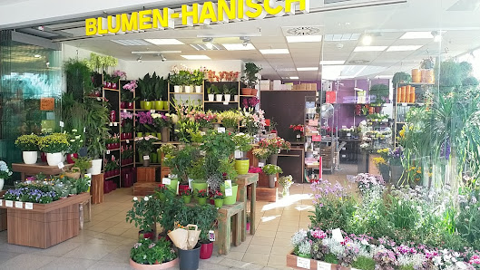 Blumen-Hanisch Halle (Saale)