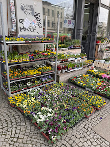 Linh Tausend Blumen & Pflanzen am Reileck