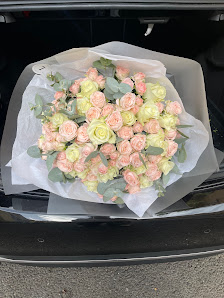 Linh Tausend Blumen & Pflanzen am Reileck