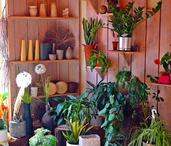 Blumenparadies Garz